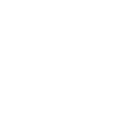 custom icon